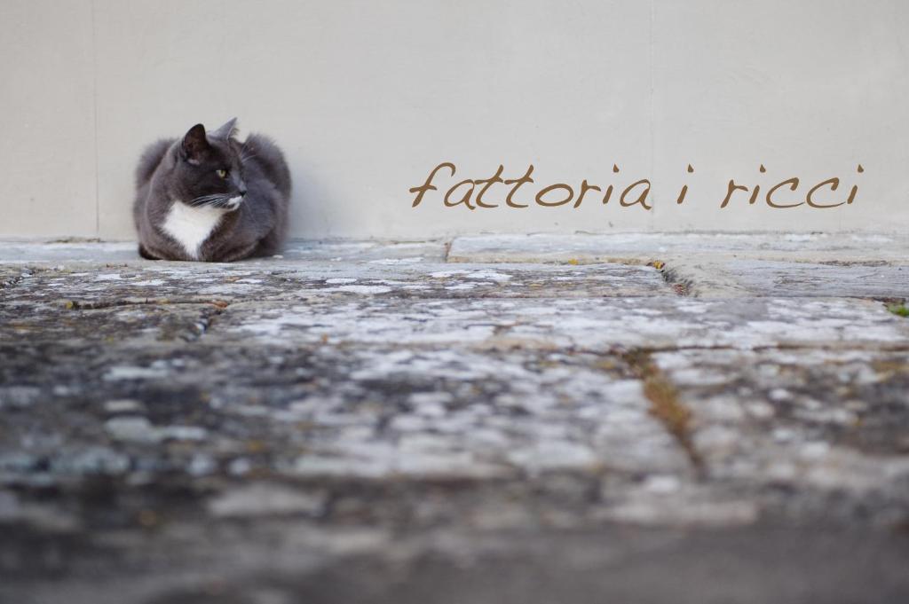 Agriresort & Spa Fattoria I Ricci ヴィッキオ エクステリア 写真